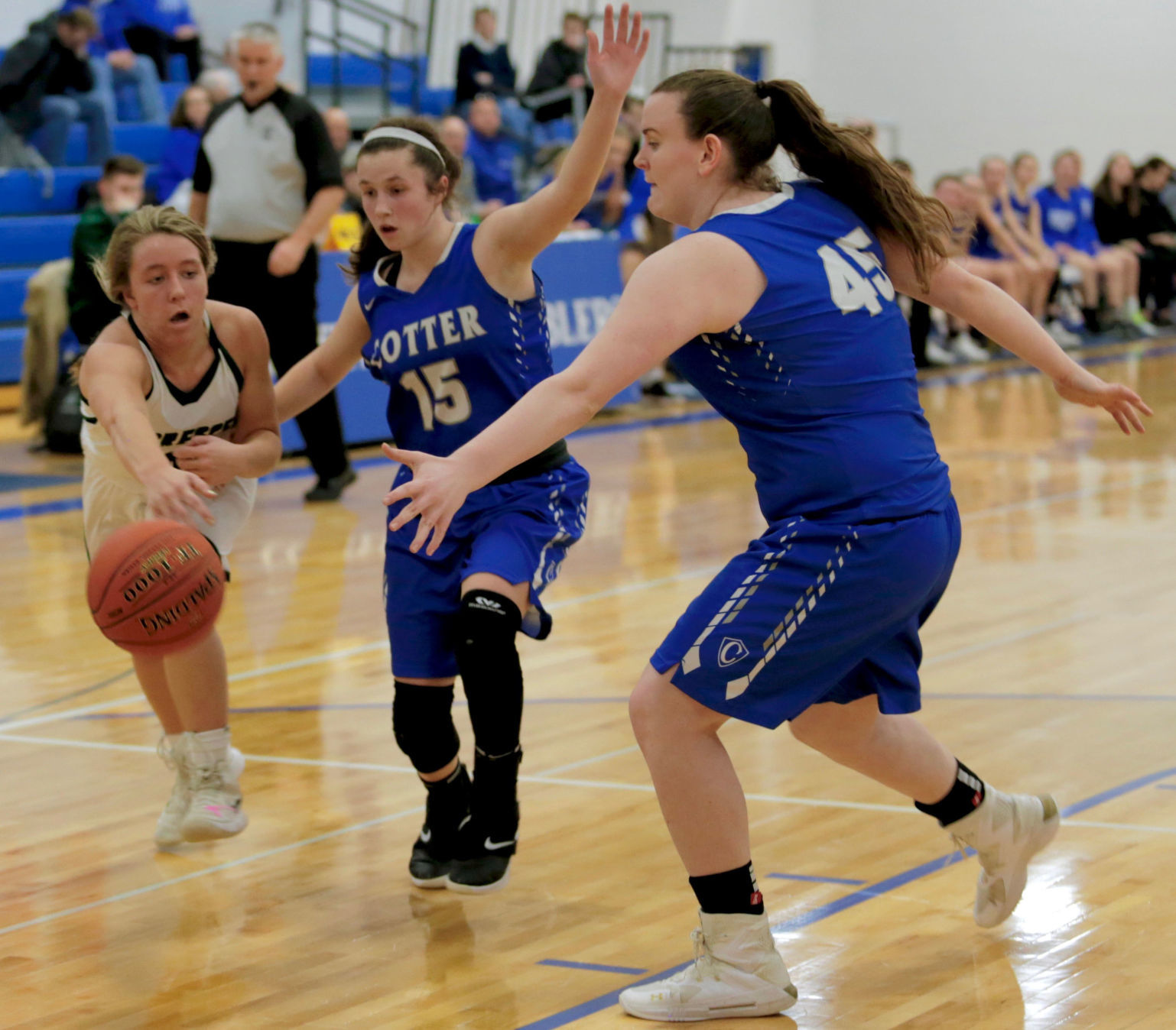 Cotter girls playoff basketball vs La Crescent-Hokah